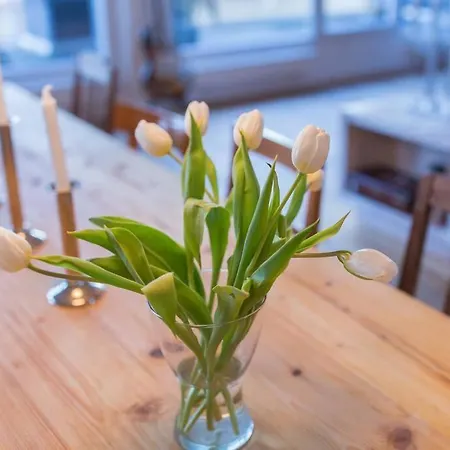 Apartament City-loft With Rooftop Terrace - 19 Persons *