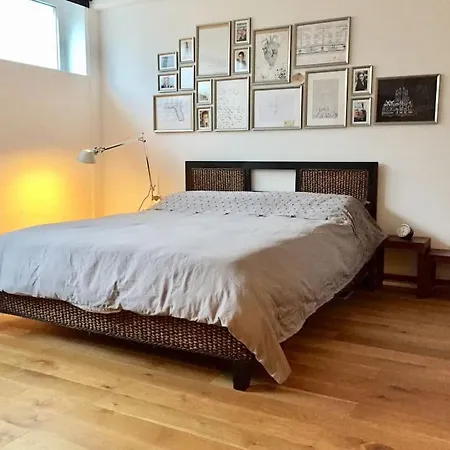 City-loft With Rooftop Terrace - 19 Persons Apartment *