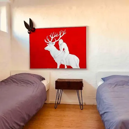 Apartment City-loft With Rooftop Terrace - 19 Persons