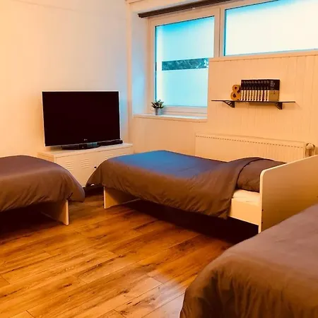 City-loft With Rooftop Terrace - 19 Persons *